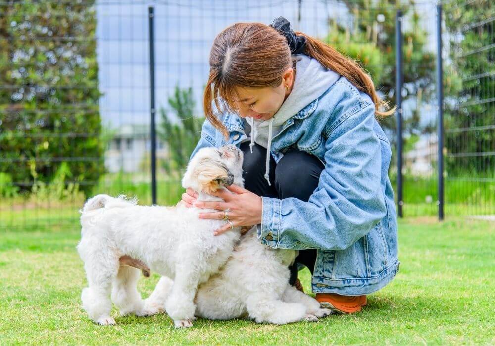 愛犬と触れ合う飼い主